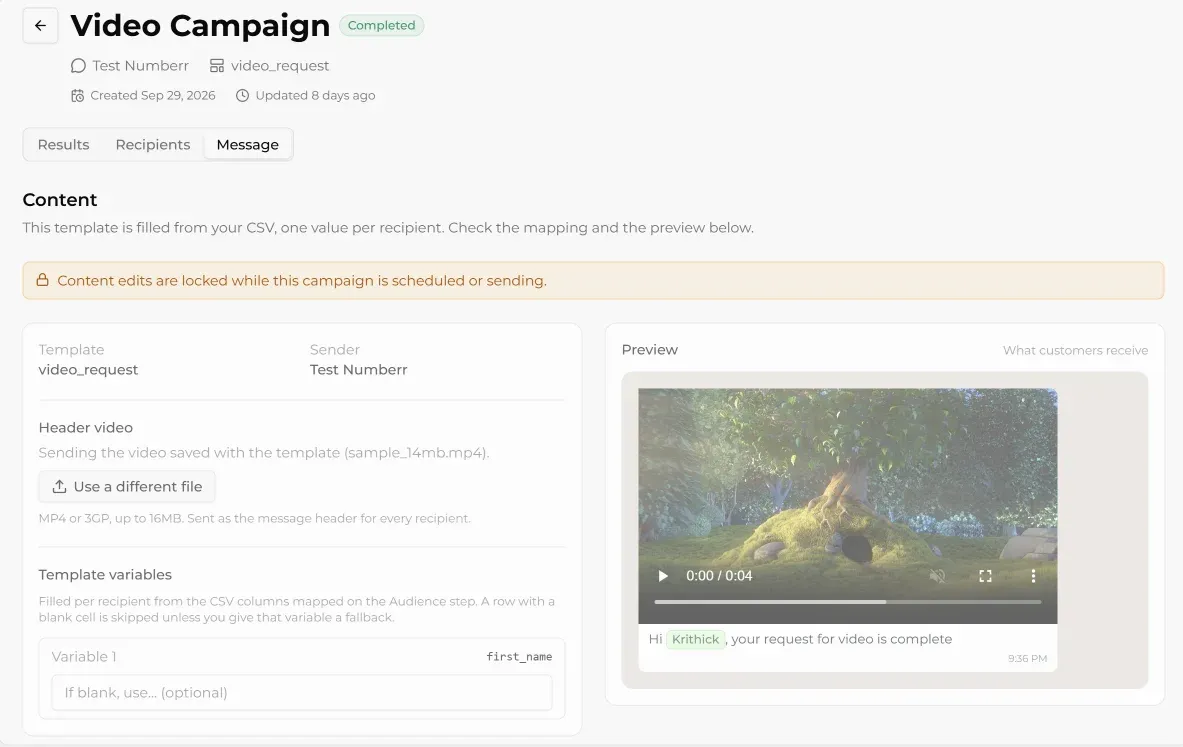 WhatsApp broadcast campaign message in Steps AI reports
